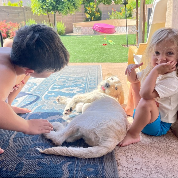 Meet your Posher, Sunny!☀️ - Picture 5 of 12